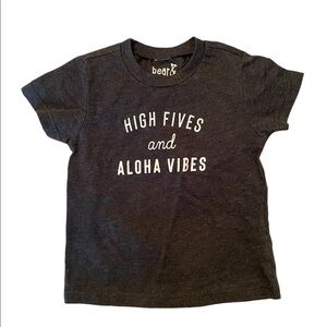 BEAR & NOODLE High Five and Aloha Vibes Hawaiian Toddler Tee Shirt